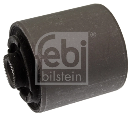Mounting, control/trailing arm